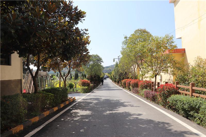 朱鹮振翅处青山变金山(图2)