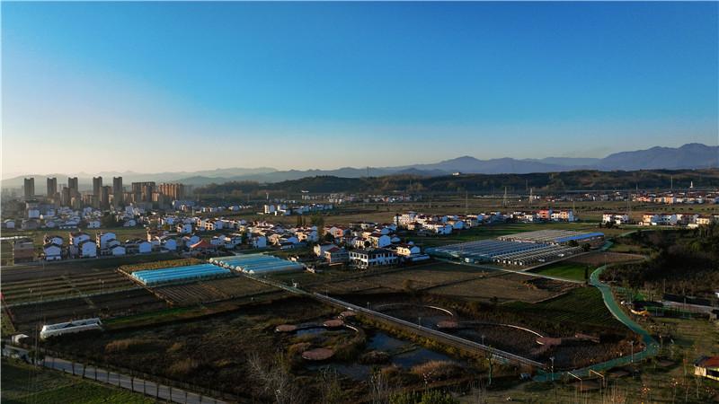 朱鹮振翅处青山变金山(图4)