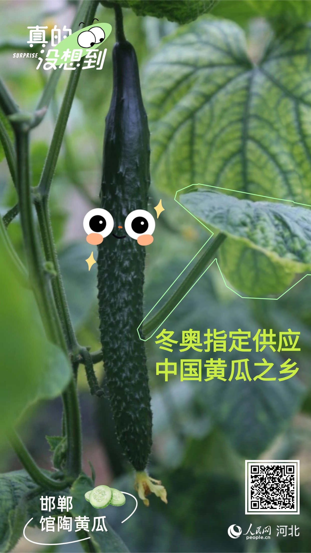 真的没想到｜邯郸这些农业“宝藏”享誉全国(图4)