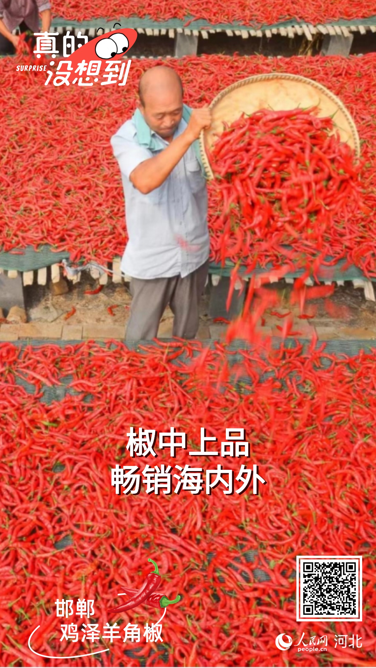 真的没想到｜邯郸这些农业“宝藏”享誉全国(图5)