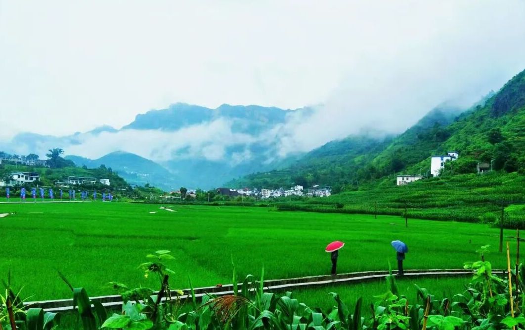 “农”墨重彩绘就贵州凉都沃野新画卷(图1)