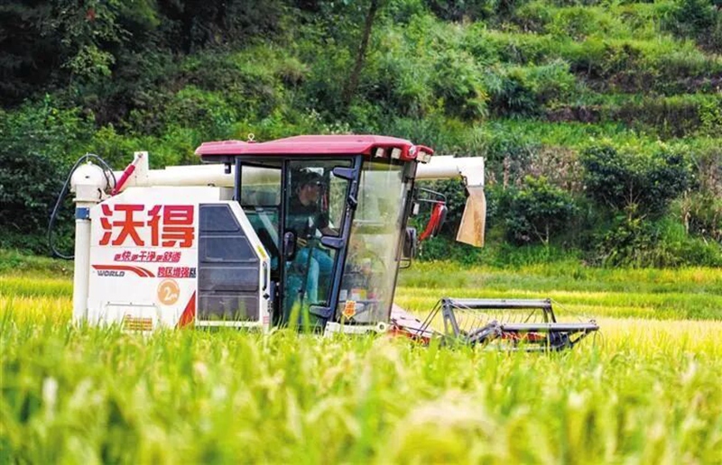 “农”墨重彩绘就贵州凉都沃野新画卷(图2)