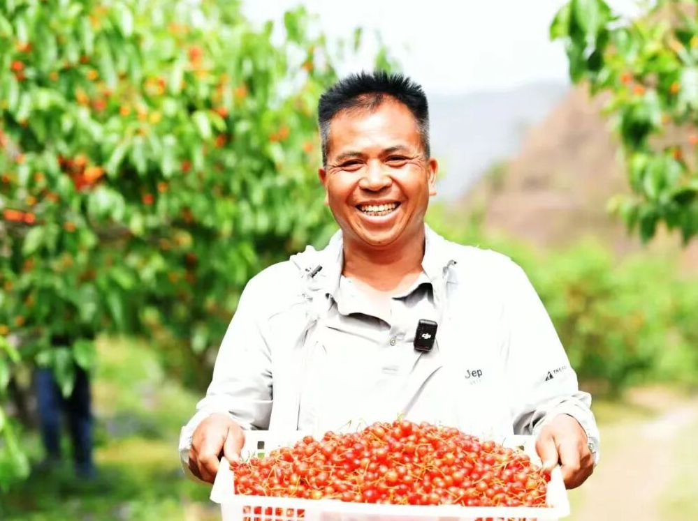 “农”墨重彩绘就贵州凉都沃野新画卷(图3)