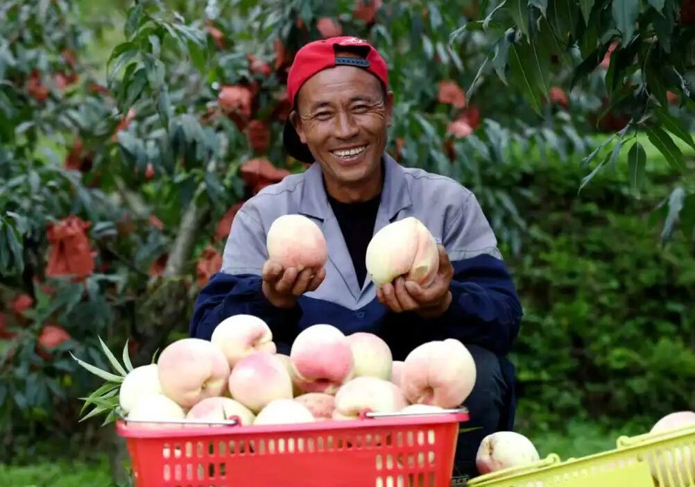 “农”墨重彩绘就贵州凉都沃野新画卷(图4)