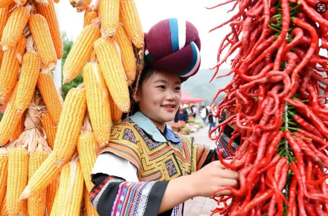 “农”墨重彩绘就贵州凉都沃野新画卷(图7)