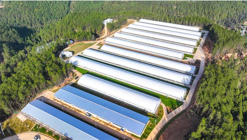 广元:“干”“拼”“实”为经济社会高质量发展注入强劲动能(图1)