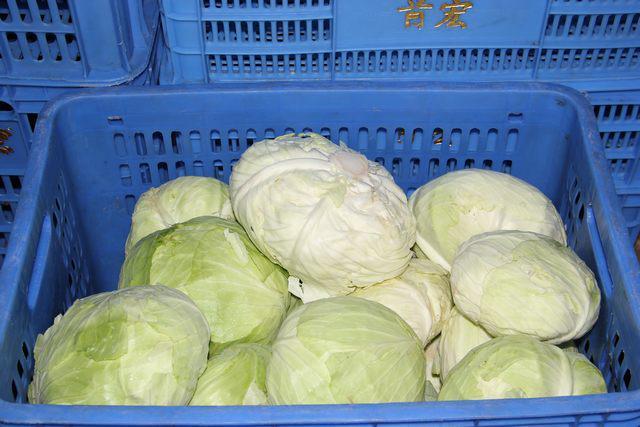 首宏蔬菜配送让您告别蔬菜配送踩坑烦恼（2024年11月）(图1)