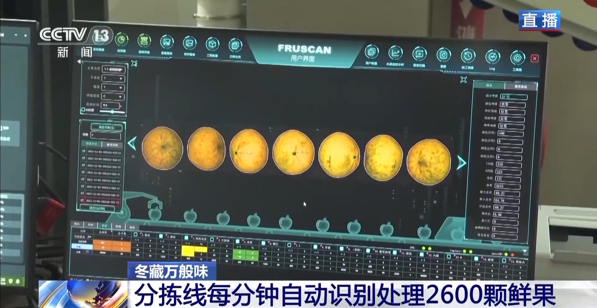 一粒豆一颗柑中国味道饮品里藏着“绿色致富密码”(图10)