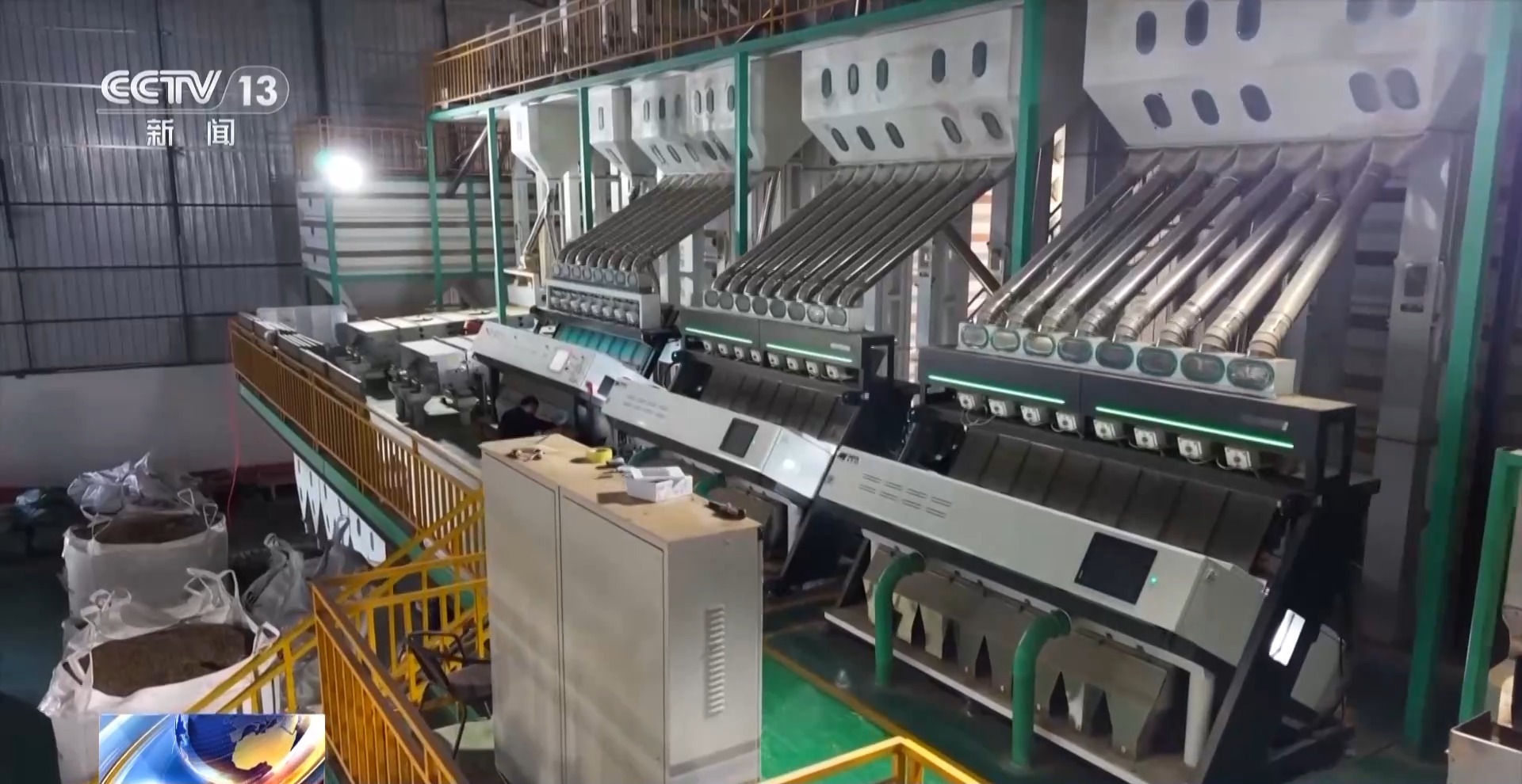 一粒豆一颗柑中国味道饮品里藏着“绿色致富密码”(图3)