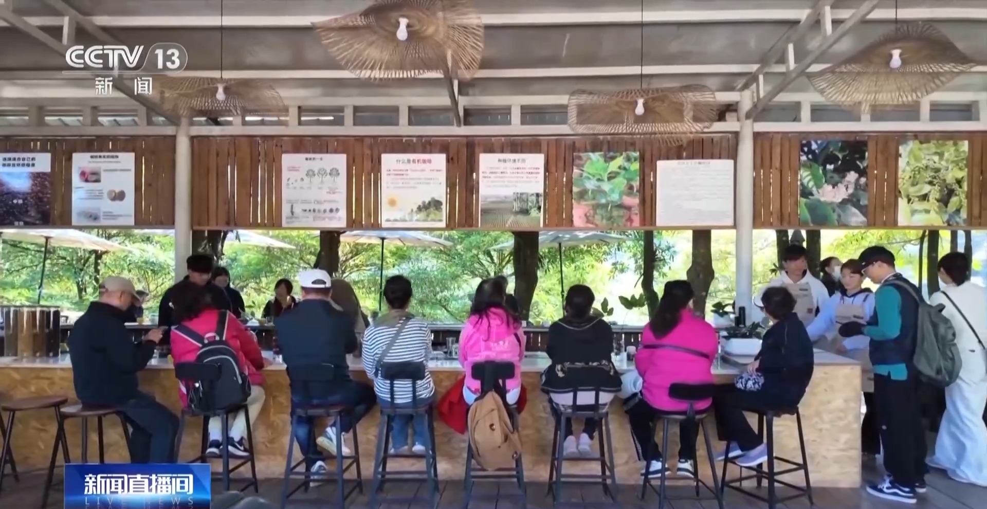 一粒豆一颗柑中国味道饮品里藏着“绿色致富密码”(图5)