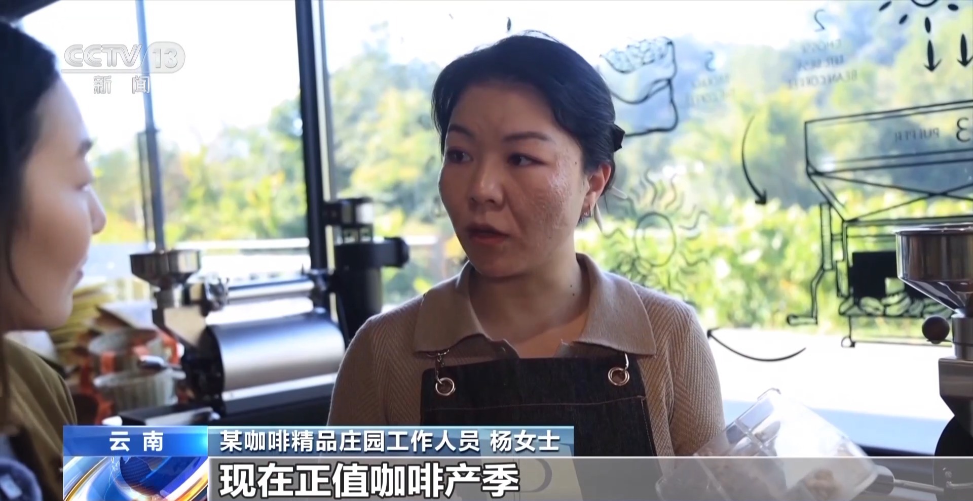 一粒豆一颗柑中国味道饮品里藏着“绿色致富密码”(图6)