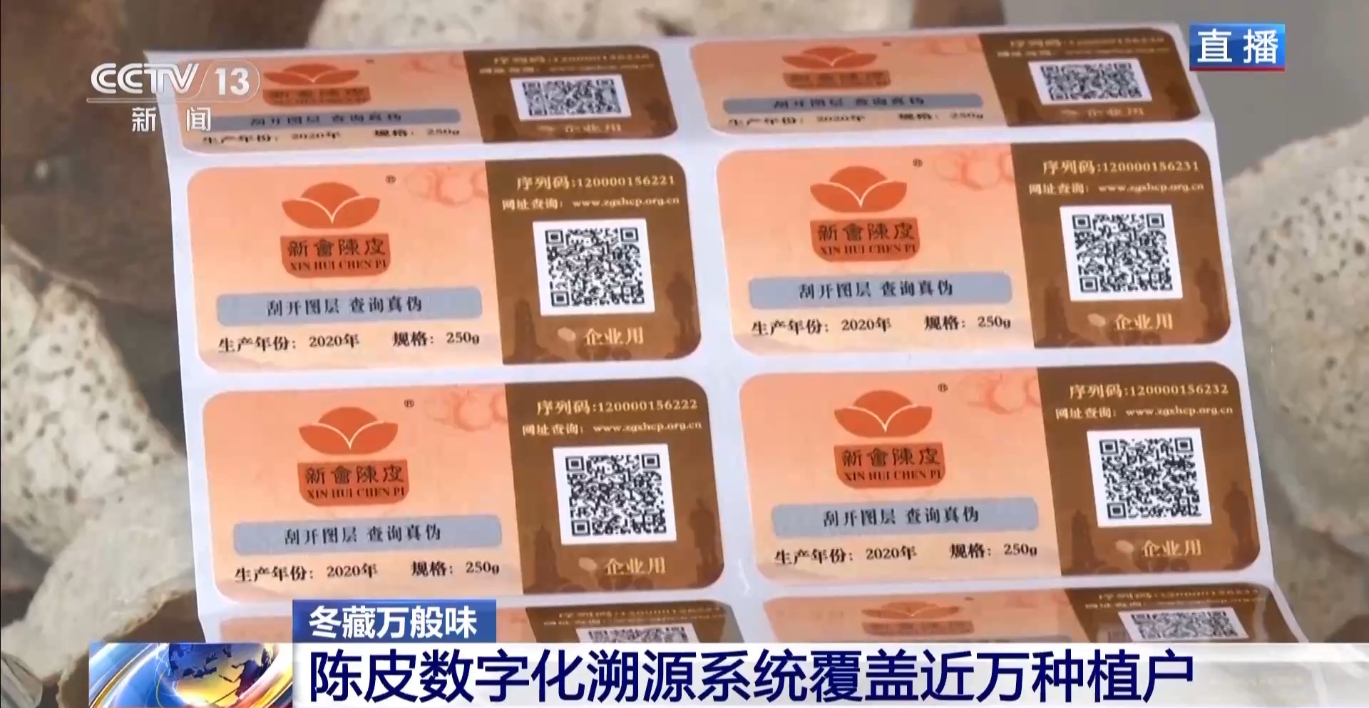 一粒豆一颗柑中国味道饮品里藏着“绿色致富密码”(图11)