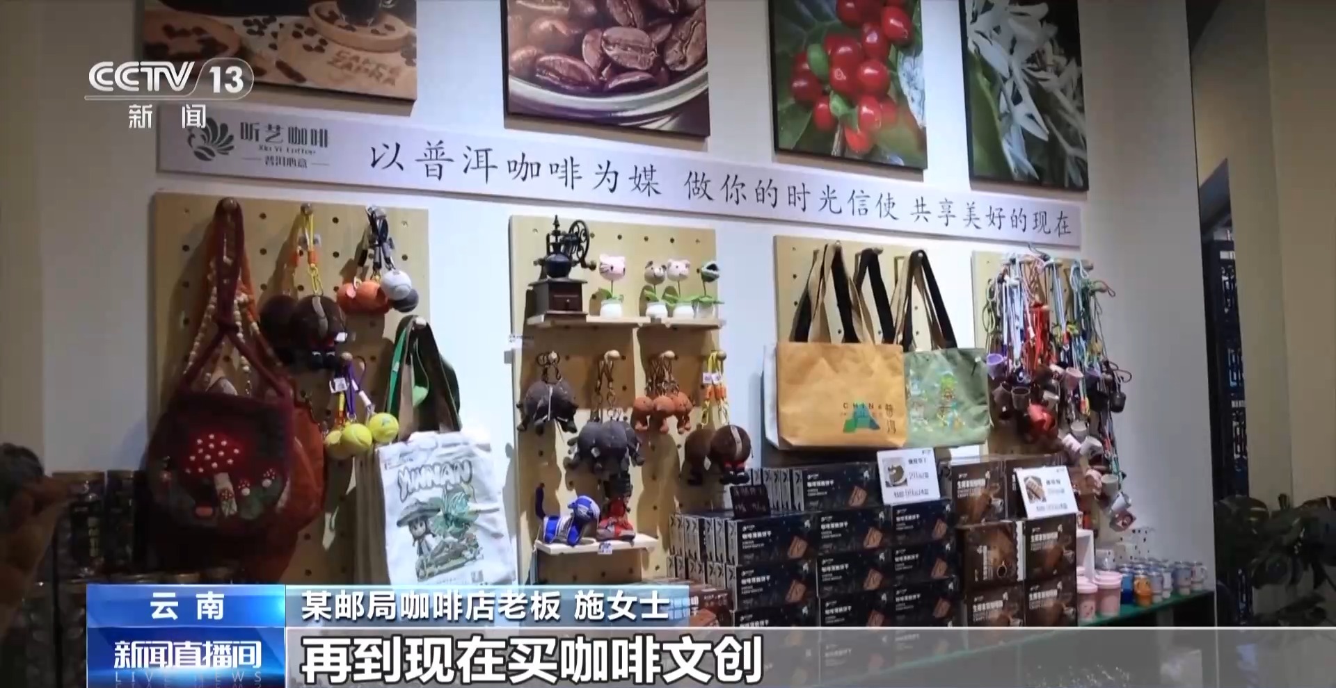 一粒豆一颗柑中国味道饮品里藏着“绿色致富密码”(图7)