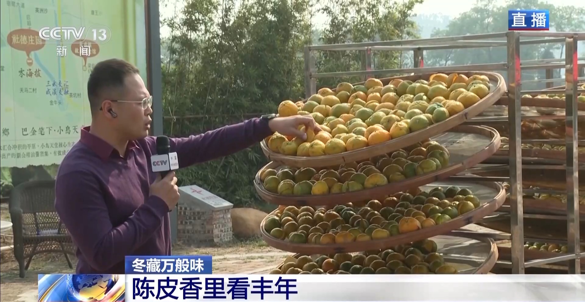 一粒豆一颗柑中国味道饮品里藏着“绿色致富密码”(图8)