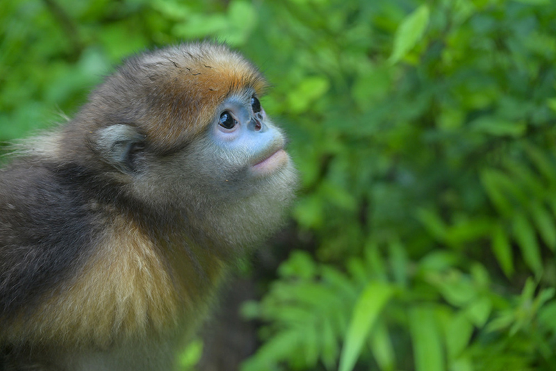 以生态“含绿量”提升发展“含金量”(图5)