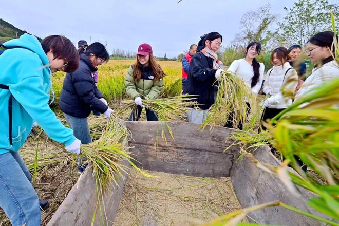 南京溧水｜长乐社区：玩转“甜蜜经济”(图4)