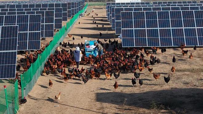 乘风扬帆破浪进——“十四五”时期东胜区经济社会高质量发展回望(图7)