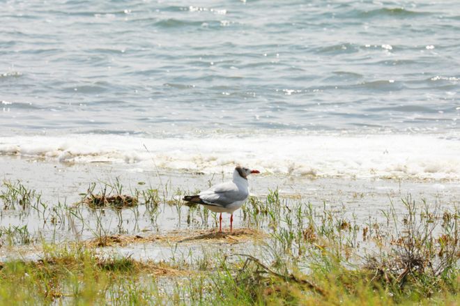乘风扬帆破浪进——“十四五”时期东胜区经济社会高质量发展回望(图12)