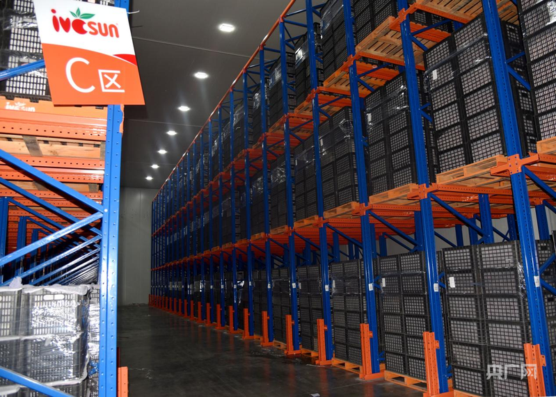 安徽砀山:冷链物流强产业水果“链”接国内外(图2)