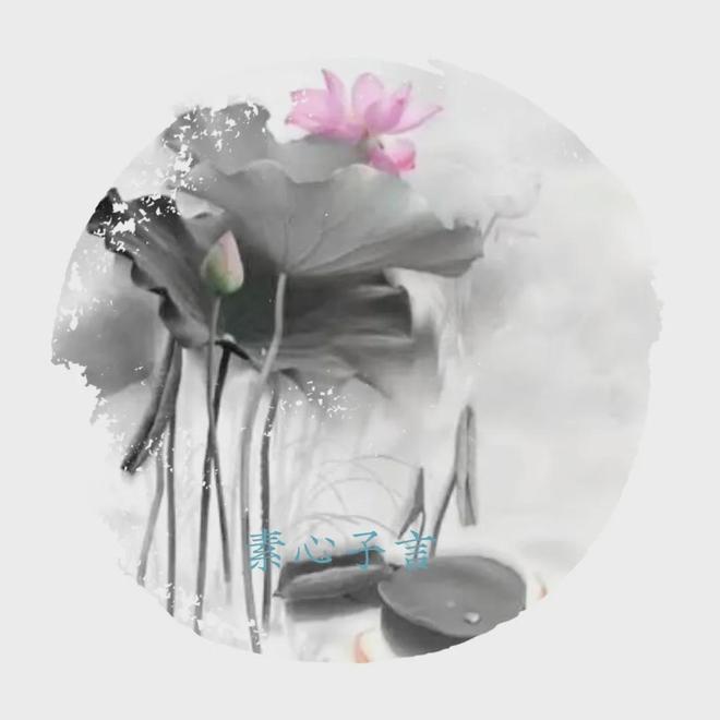 定西市农业以传统优势产业为核心的资源整合与品牌升级路径探索(图6)