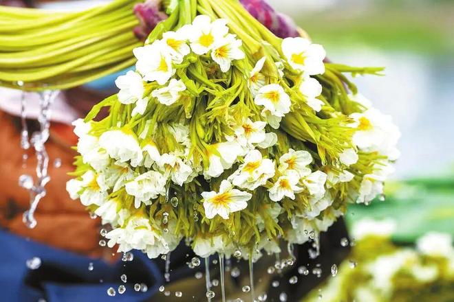 生态保护与发展并重(图2)