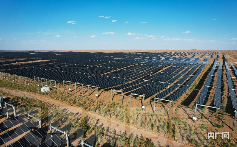 【武威:年经事纬布新图强②】产业结构之新三次产业全链跃升(图3)