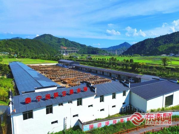 三明泰宁:丹霞绘卷启新程砥砺奋进谱华章(图4)