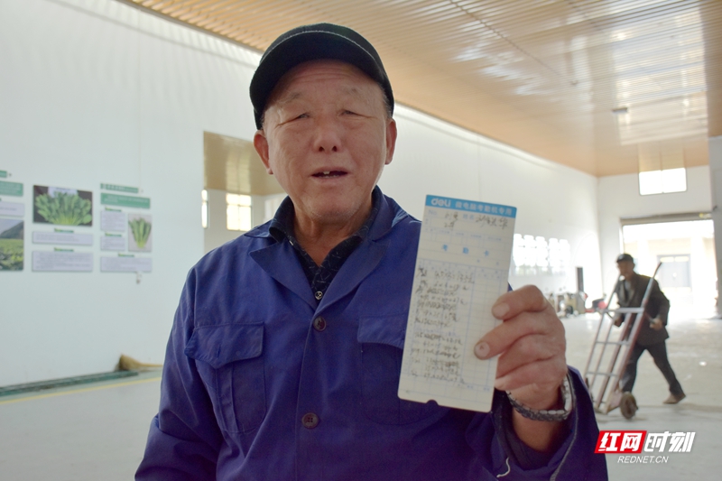 安乡稻稻菜农民富起来①丨从“小产业”到“大引擎”的赋能篇章(图6)