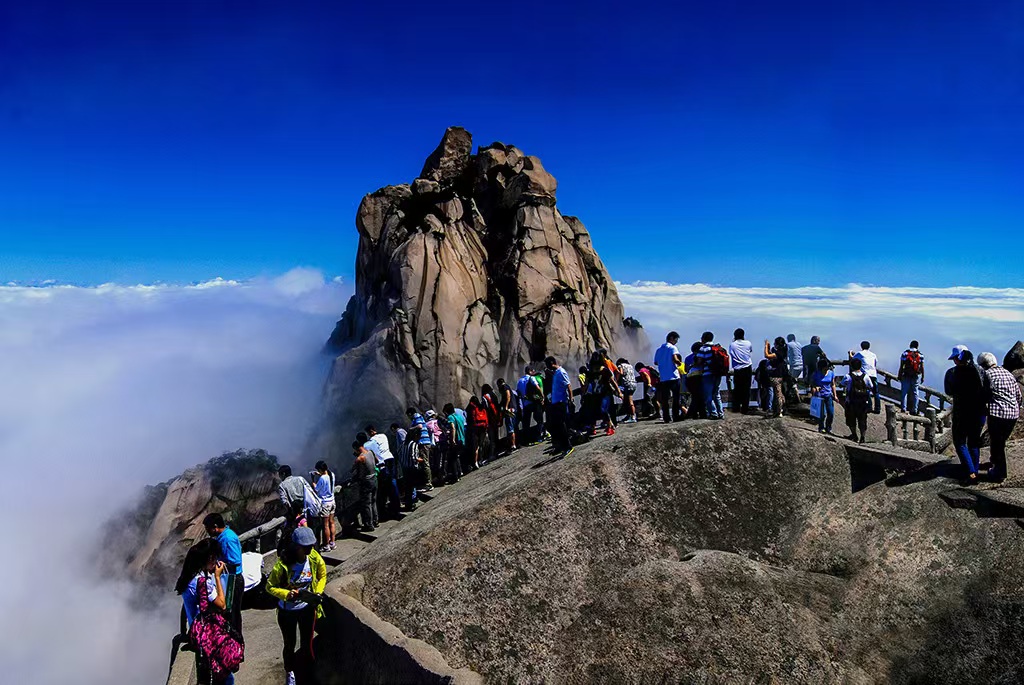 安徽向前丨下好产业振兴“一盘棋”一座古城的产业跃升密码(图3)