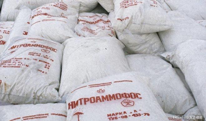 欧洲猛然发现俄罗斯掌握了自己的另一命门制裁破洞让普京赚翻(图1)