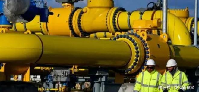 欧洲猛然发现俄罗斯掌握了自己的另一命门制裁破洞让普京赚翻(图2)