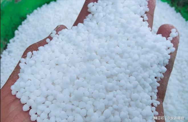 欧洲猛然发现俄罗斯掌握了自己的另一命门制裁破洞让普京赚翻(图6)