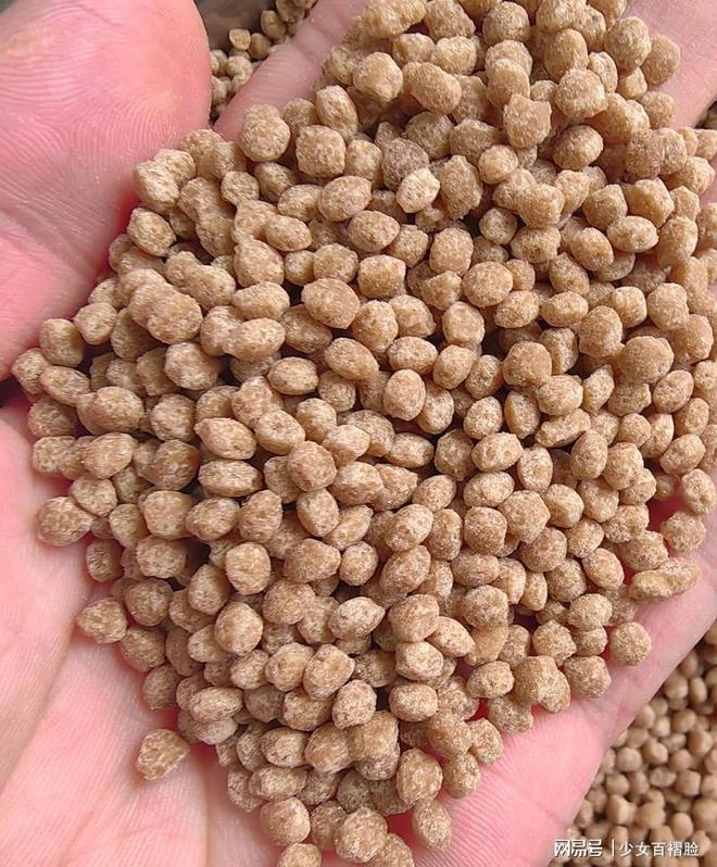 欧洲猛然发现俄罗斯掌握了自己的另一命门制裁破洞让普京赚翻(图7)