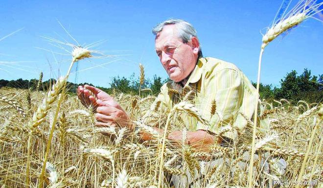 欧洲猛然发现俄罗斯掌握了自己的另一命门制裁破洞让普京赚翻(图9)