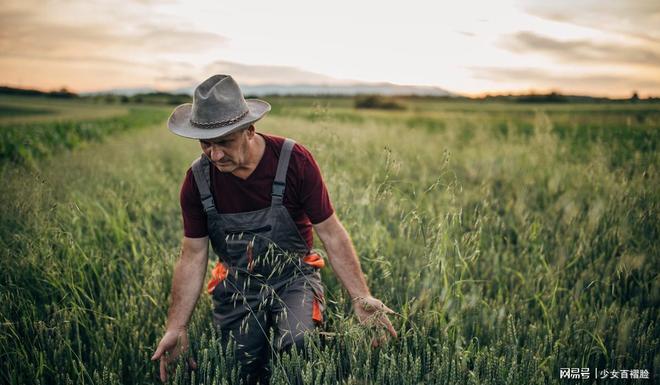 欧洲猛然发现俄罗斯掌握了自己的另一命门制裁破洞让普京赚翻(图10)