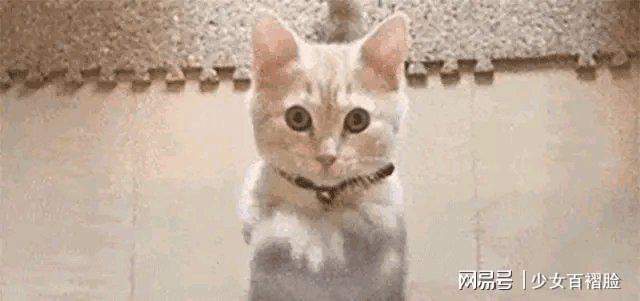 欧洲猛然发现俄罗斯掌握了自己的另一命门制裁破洞让普京赚翻(图11)