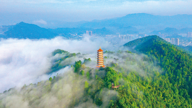 产业金、生态绿、民生暖、烟火红、活力橙——幸福浏阳的多彩解码(图3)