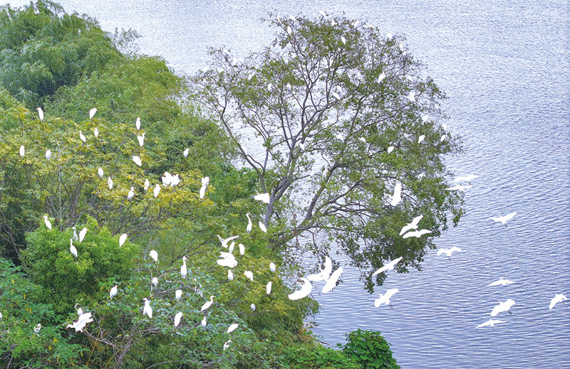 产业金、生态绿、民生暖、烟火红、活力橙——幸福浏阳的多彩解码(图4)