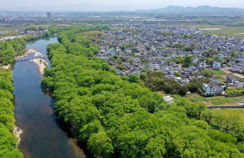 黄山市徽州区：以“五个思维”全域统筹推进和美乡村建设(图3)
