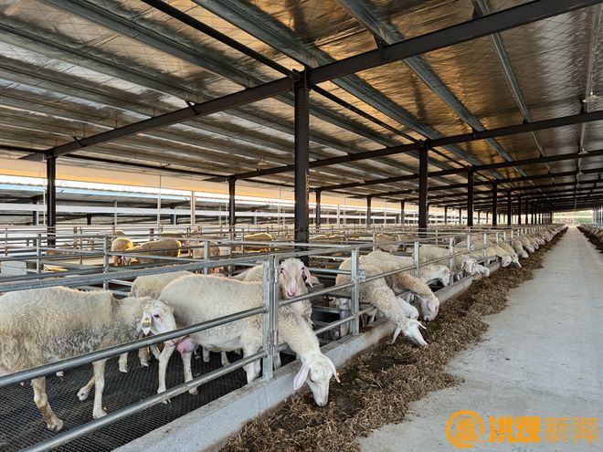 南昌“菜篮子”基地守护市民“舌尖上的安全”(图1)