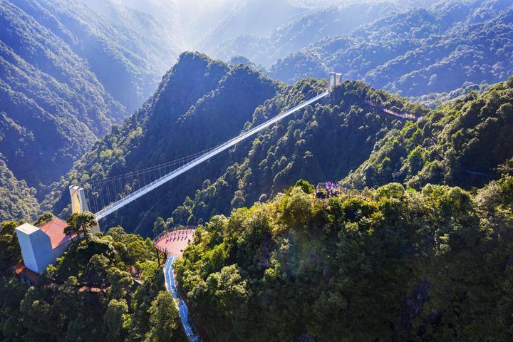 一颗橙“链”动一座城(图1)