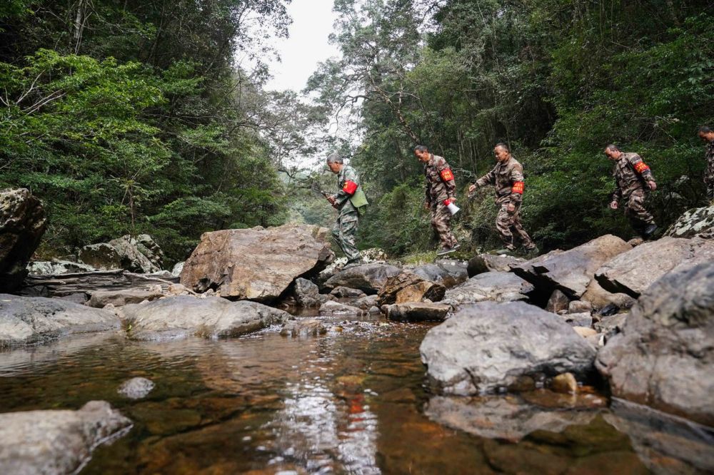 一颗橙“链”动一座城(图3)