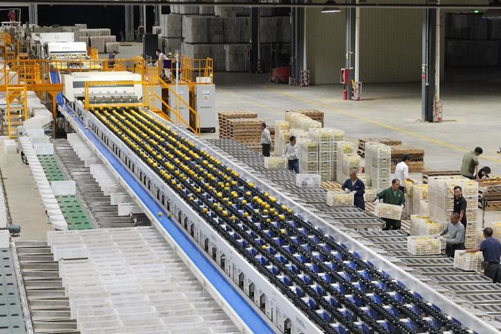 一颗橙“链”动一座城(图4)