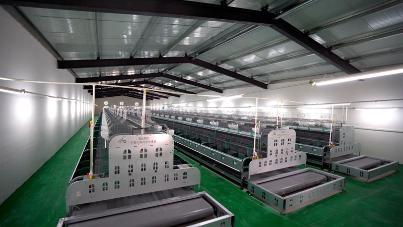 普定：守牢农业农村安全底线交出“十四五”高分答卷(图1)