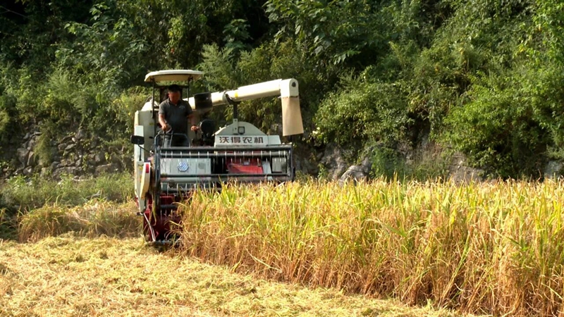 普定：守牢农业农村安全底线交出“十四五”高分答卷(图2)