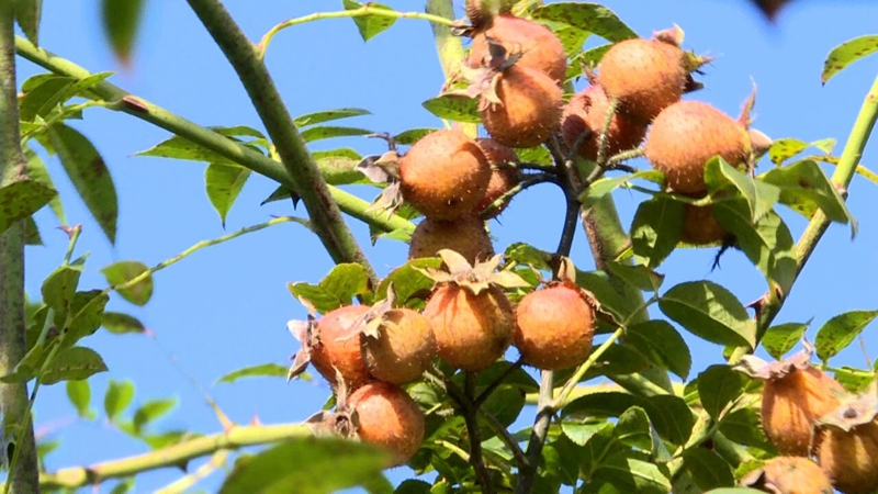 普定：守牢农业农村安全底线交出“十四五”高分答卷(图3)