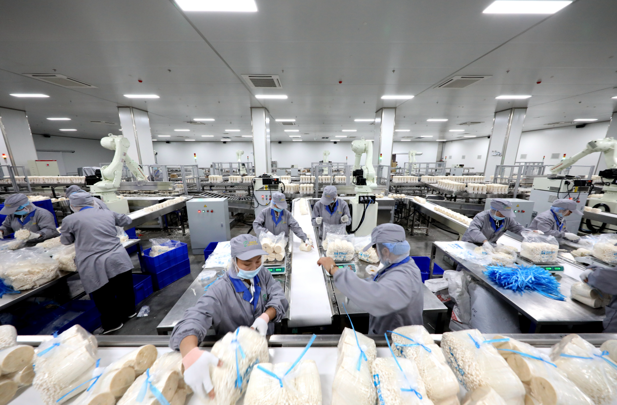 山东济宁：邹城菇香溢满区金乡“智”蒜富万家(图1)