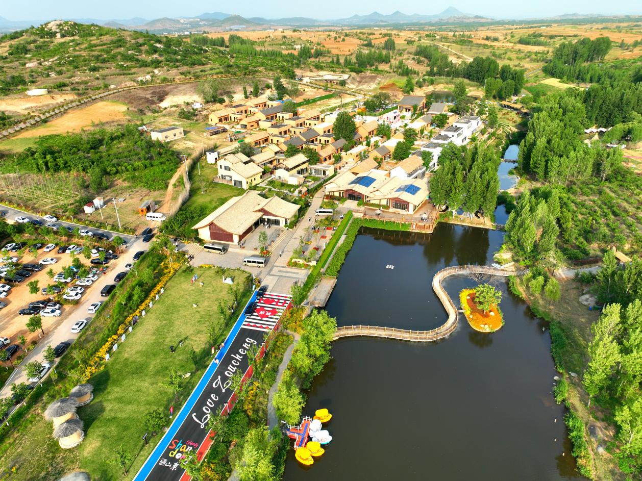 山东济宁：邹城菇香溢满区金乡“智”蒜富万家(图3)