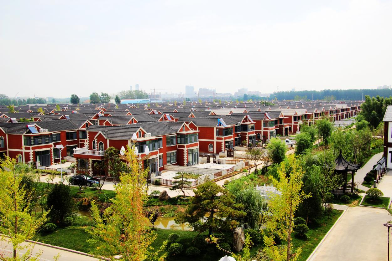 山东济宁：邹城菇香溢满区金乡“智”蒜富万家(图4)