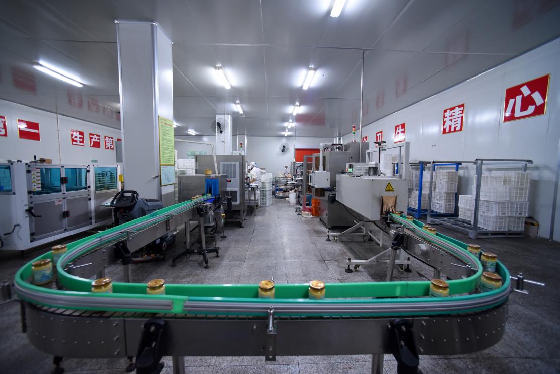 山东济宁：邹城菇香溢满区金乡“智”蒜富万家(图5)